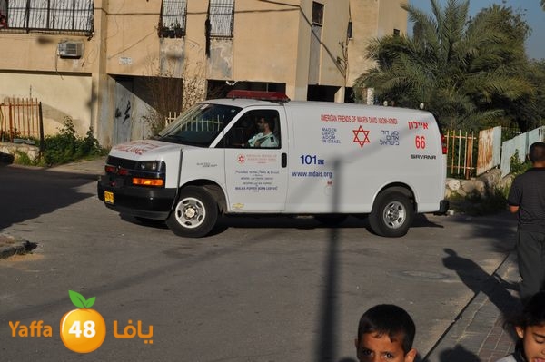 snakeluds310 (5).JPG